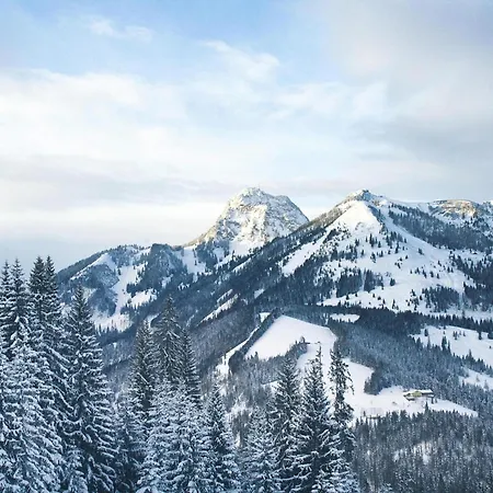 Beautiful In The Alps Near Apartmán